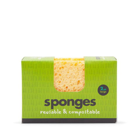 Compostable sponge (large)