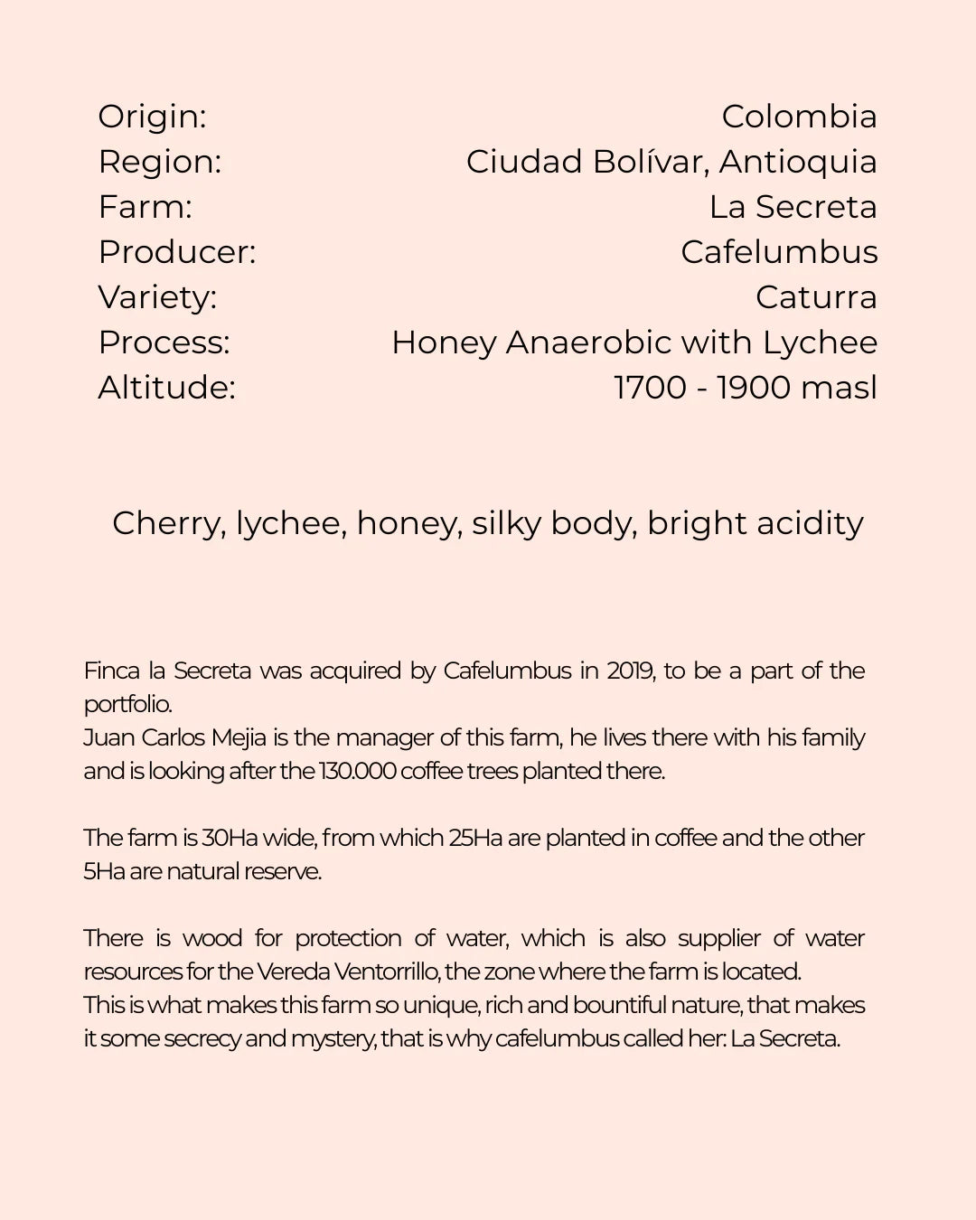 La Secreta | Colombia | Filter | Blind Monkey Coffee (250g Wholebean Coffee)