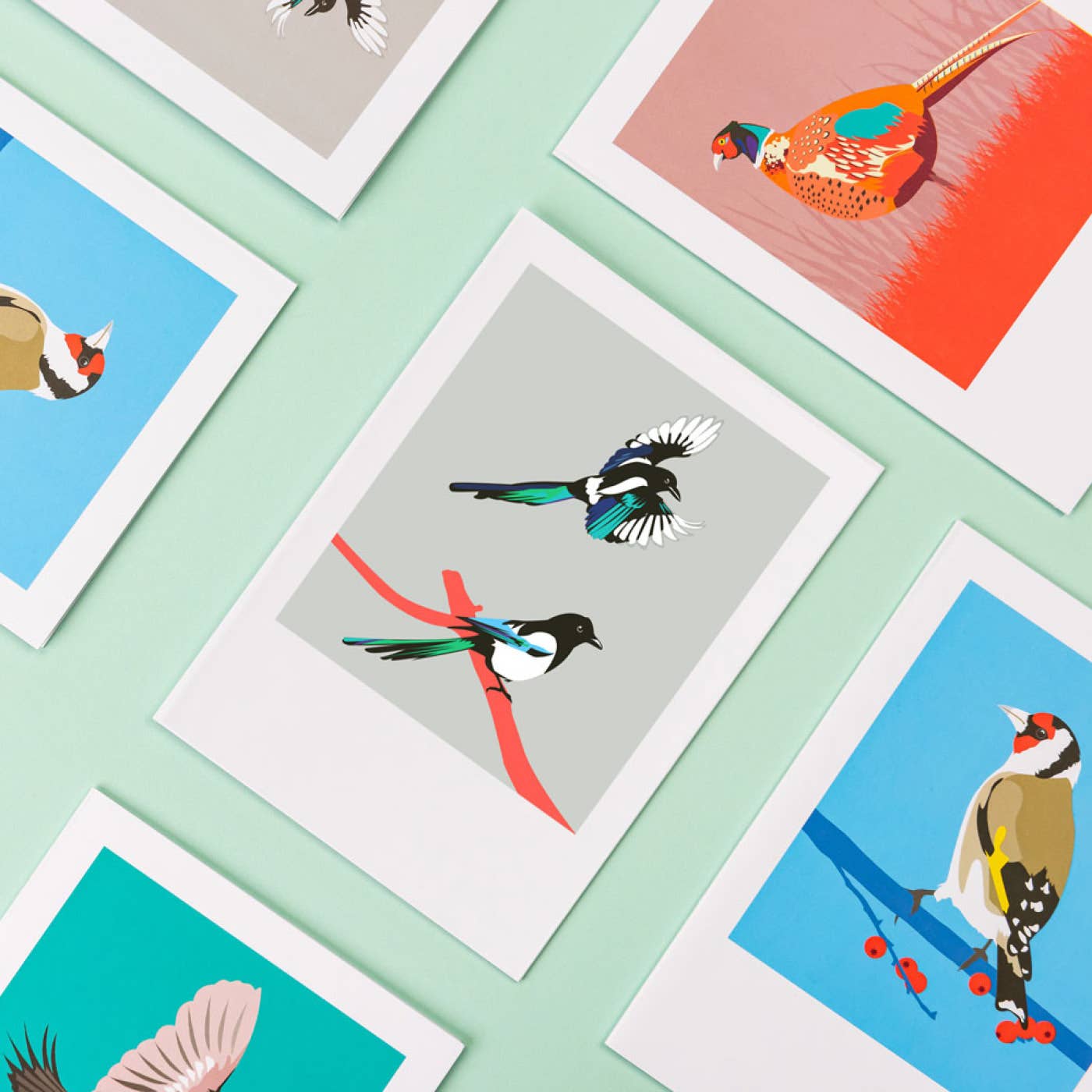 Bird Greeting Card Box