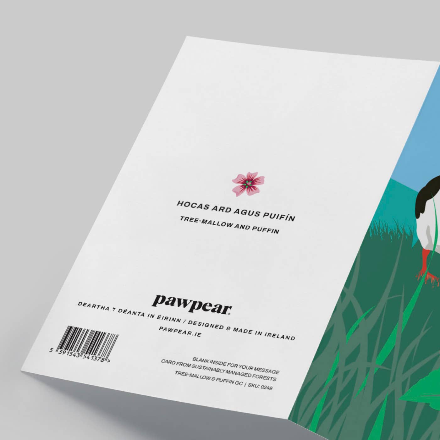 Tree-mallow Greeting Card