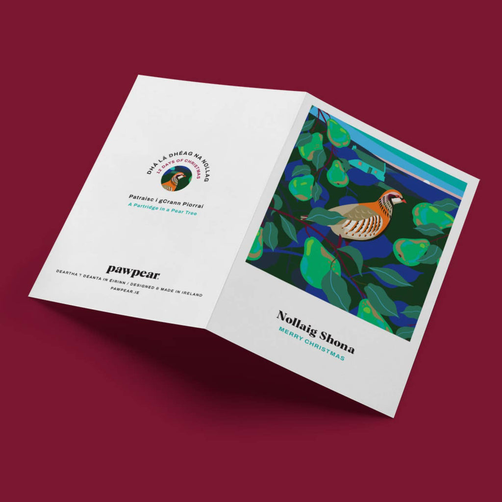 12 Days Christmas Card Box - Pawpear