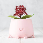 Happy Pot Planter - Peach Pink - Small