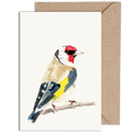 Goldfinch