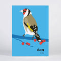 Bird Greeting Card Box