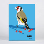 Bird Greeting Card Box