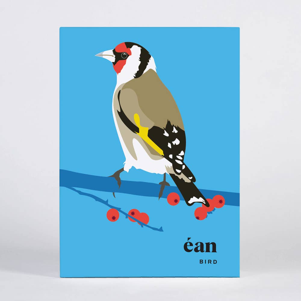 Bird Greeting Card Box