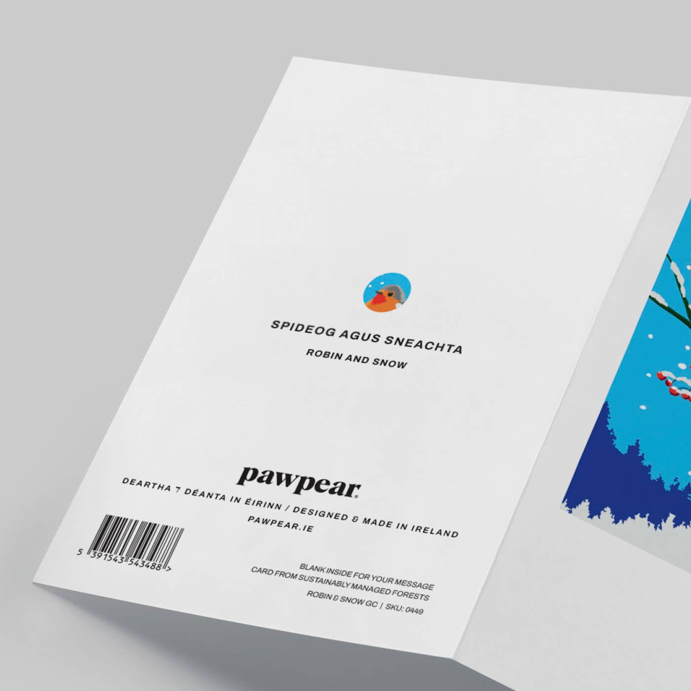 Robin & Snow Greeting Card - Pawpear