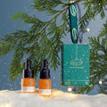 Winter Glow Vegan Natural Festive Christmas Bauble Gift Set