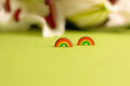 Rainbow Stud Earrings