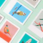 Bird Greeting Card Box