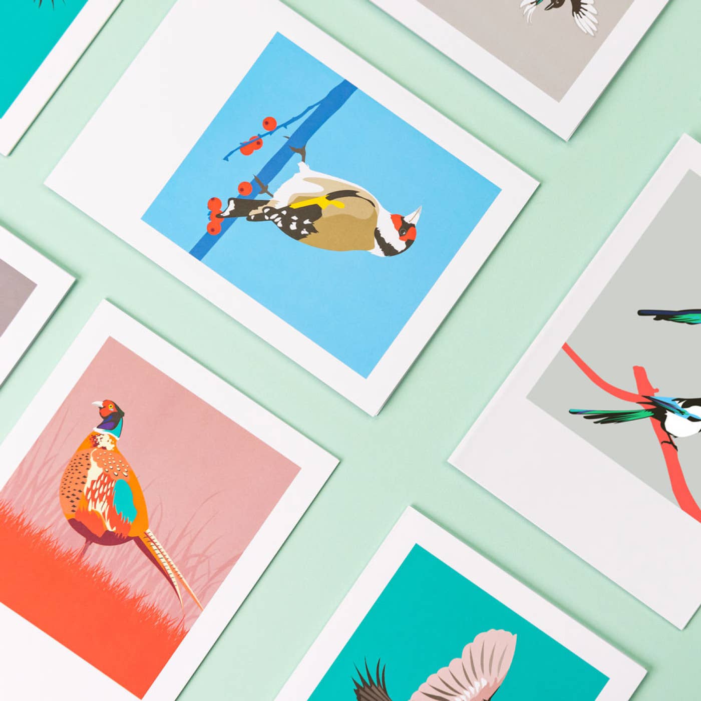 Bird Greeting Card Box