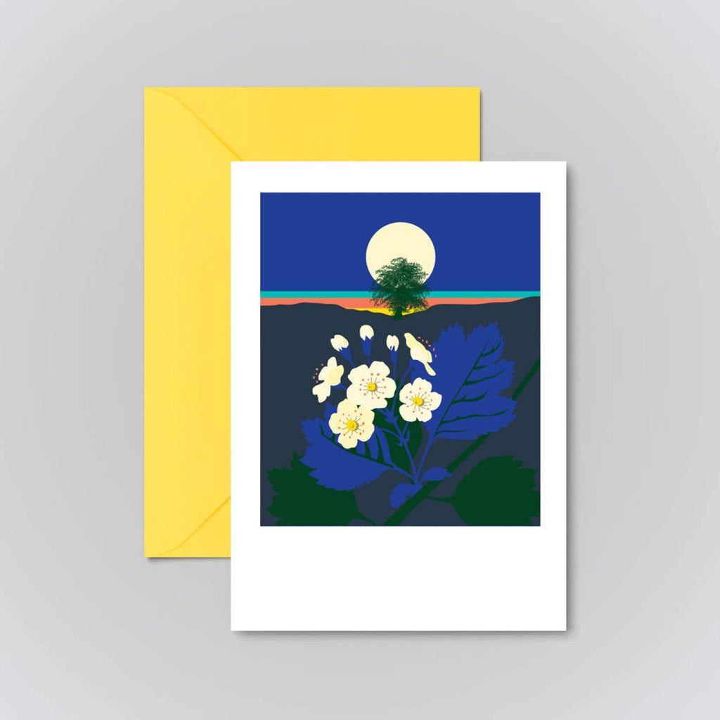 Hawthorn Card