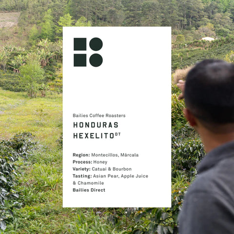 Bailies Coffee - Honduras Hexelito Honey Process- 250g Wholebean Coffee