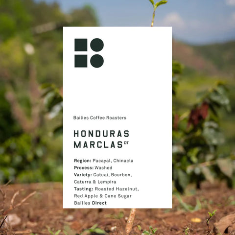 Bailies Coffee - Honduras Marcala Washed - 250g Wholebean Coffee
