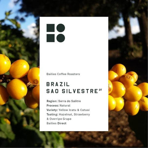 Bailies Coffee - Brazil Sao Silvestre Natural - 250g Wholebean Coffee