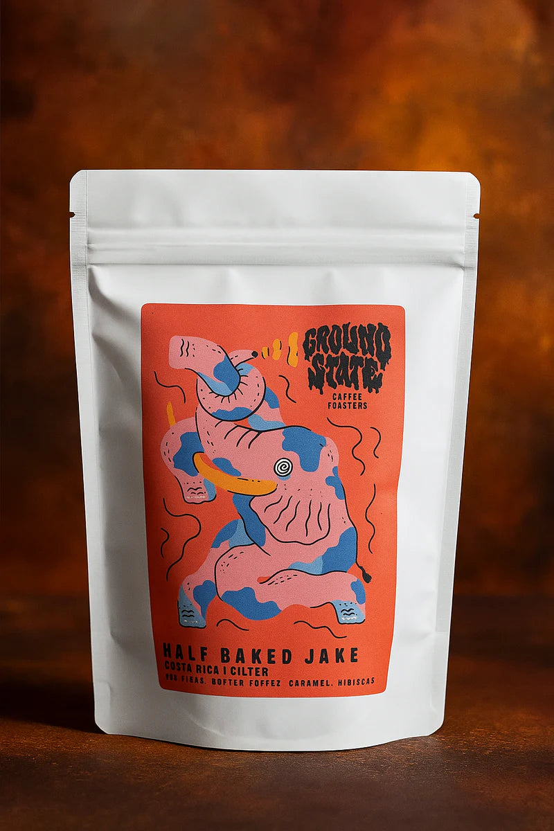 Half Baked Jake Filter Coffee | Costa Rica | Groundstate Coffee Roasters