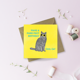 Cool Cat Greetings Card