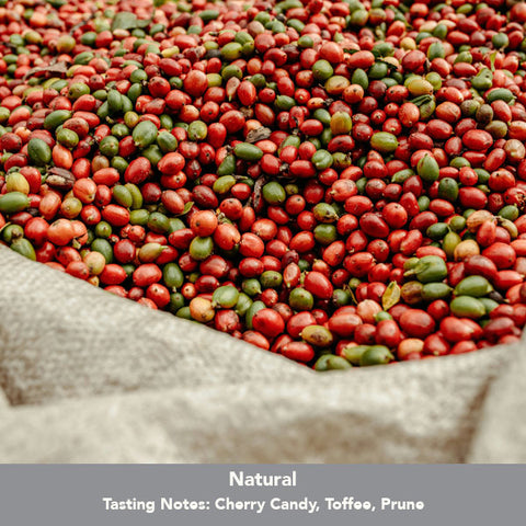 Imbibe Coffee Roasters - Nicaragua Finca El Bosque - 250g Wholebean Coffee