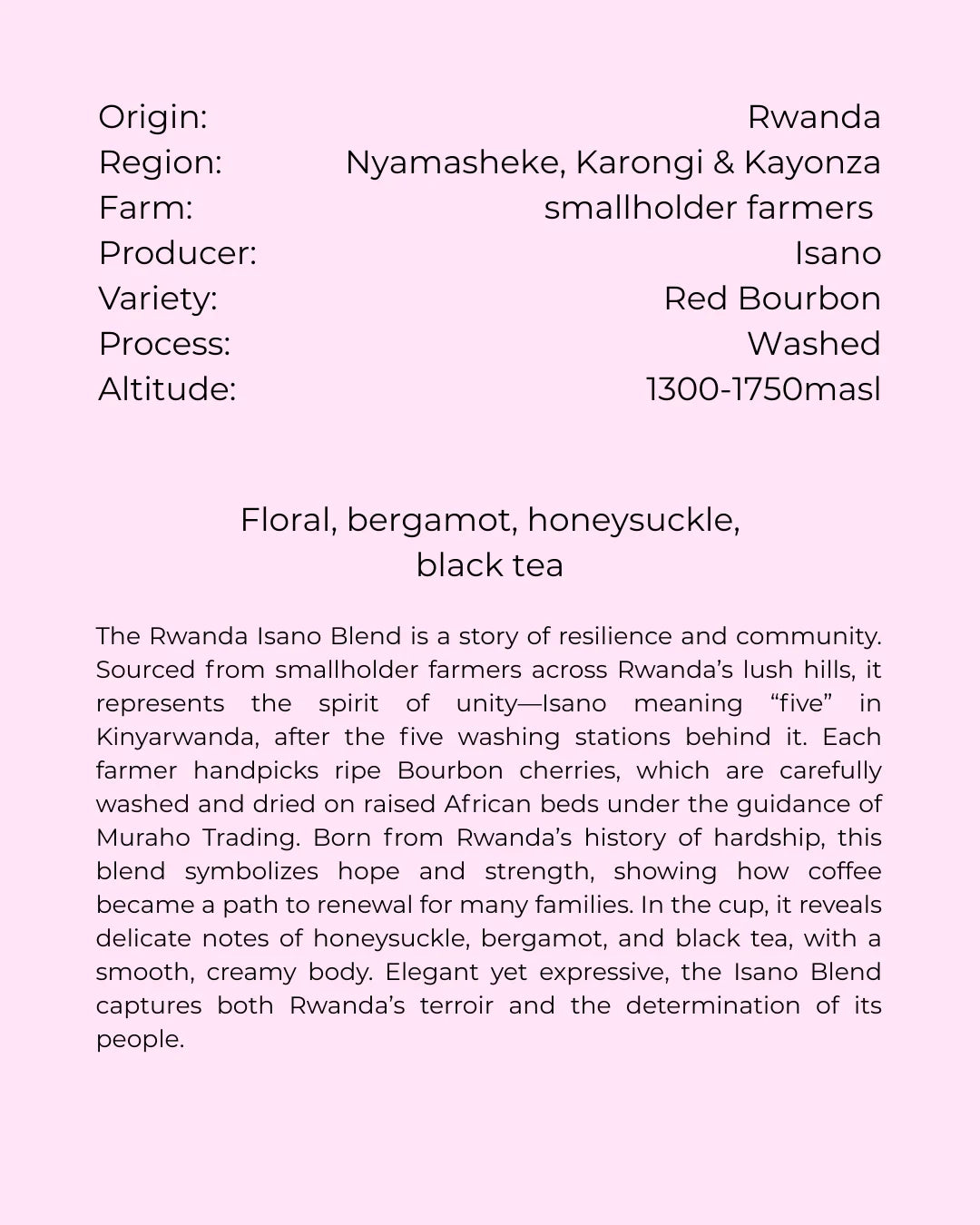 Isano | Rwanda | Blind Monkey Coffee | 250g