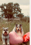 The Anniversary Dogs - Greeting card