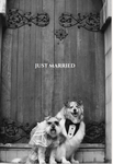 Just Married Dogs