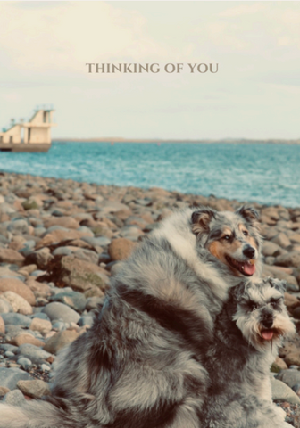 The thoughtful card (dogs)