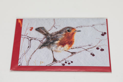 Robin  - Greeting Card