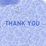 Thank You - Blue Flowers