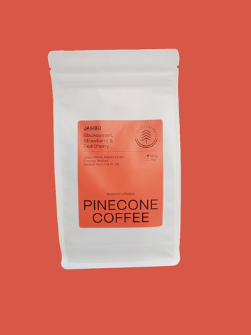 Pine Cone Coffee - Jambo Nyeri | Kenya | Filter