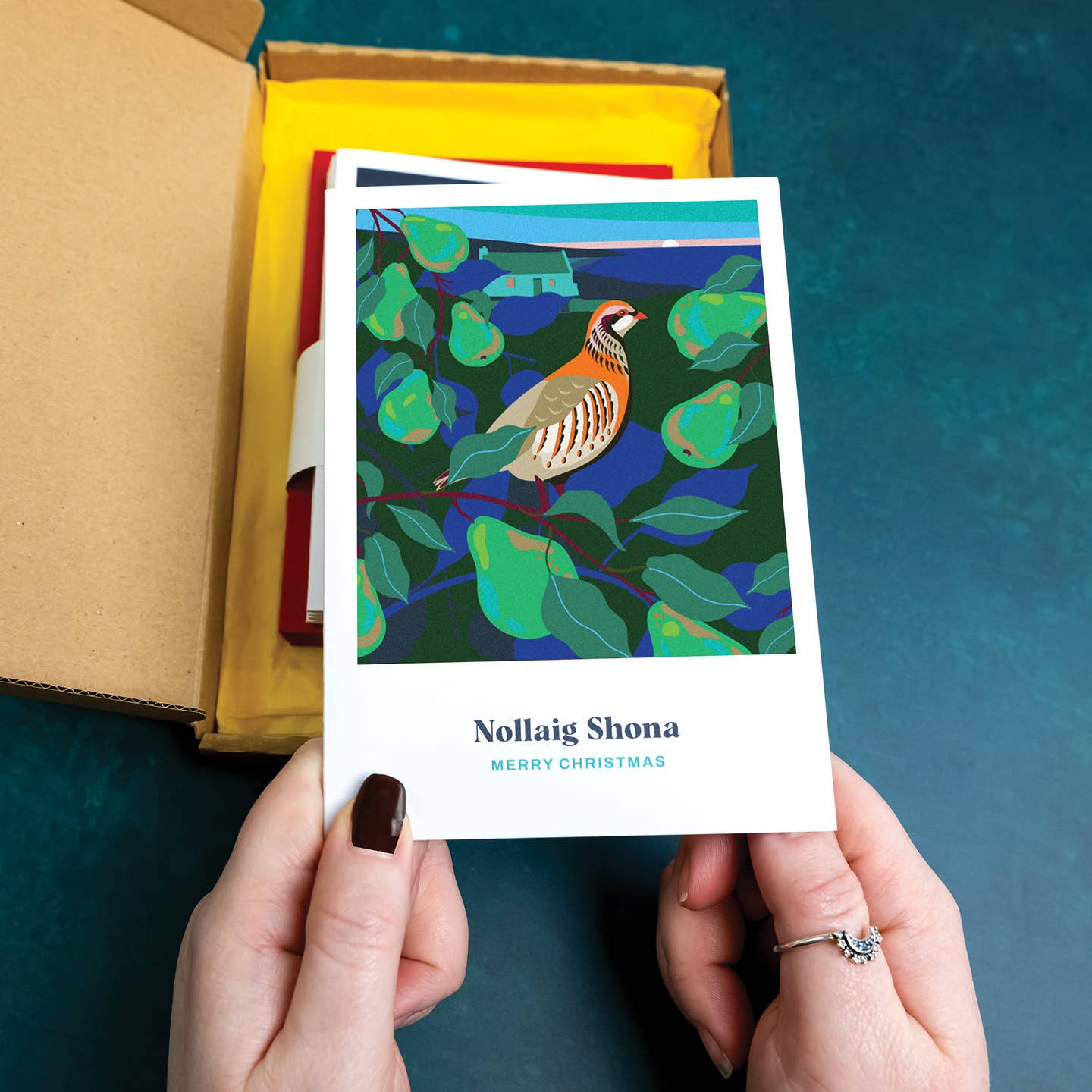 12 Days Christmas Card Box - Pawpear