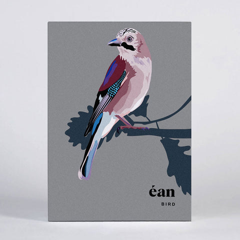 ÉAN / BIRD – 10 Greeting cards with envelopes