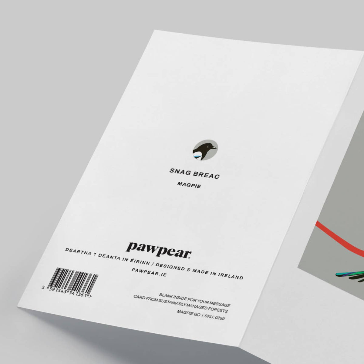 Magpie Greeting Card