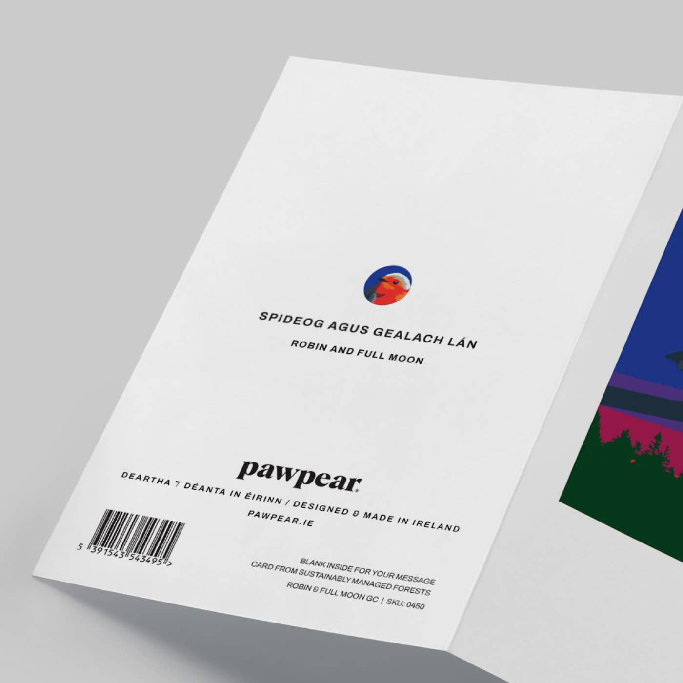 Robin & Full Moon Greeting Card