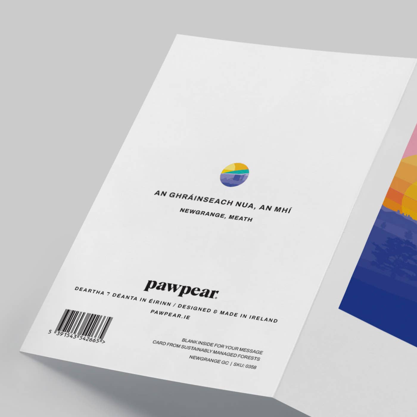 Newgrange Greeting Card