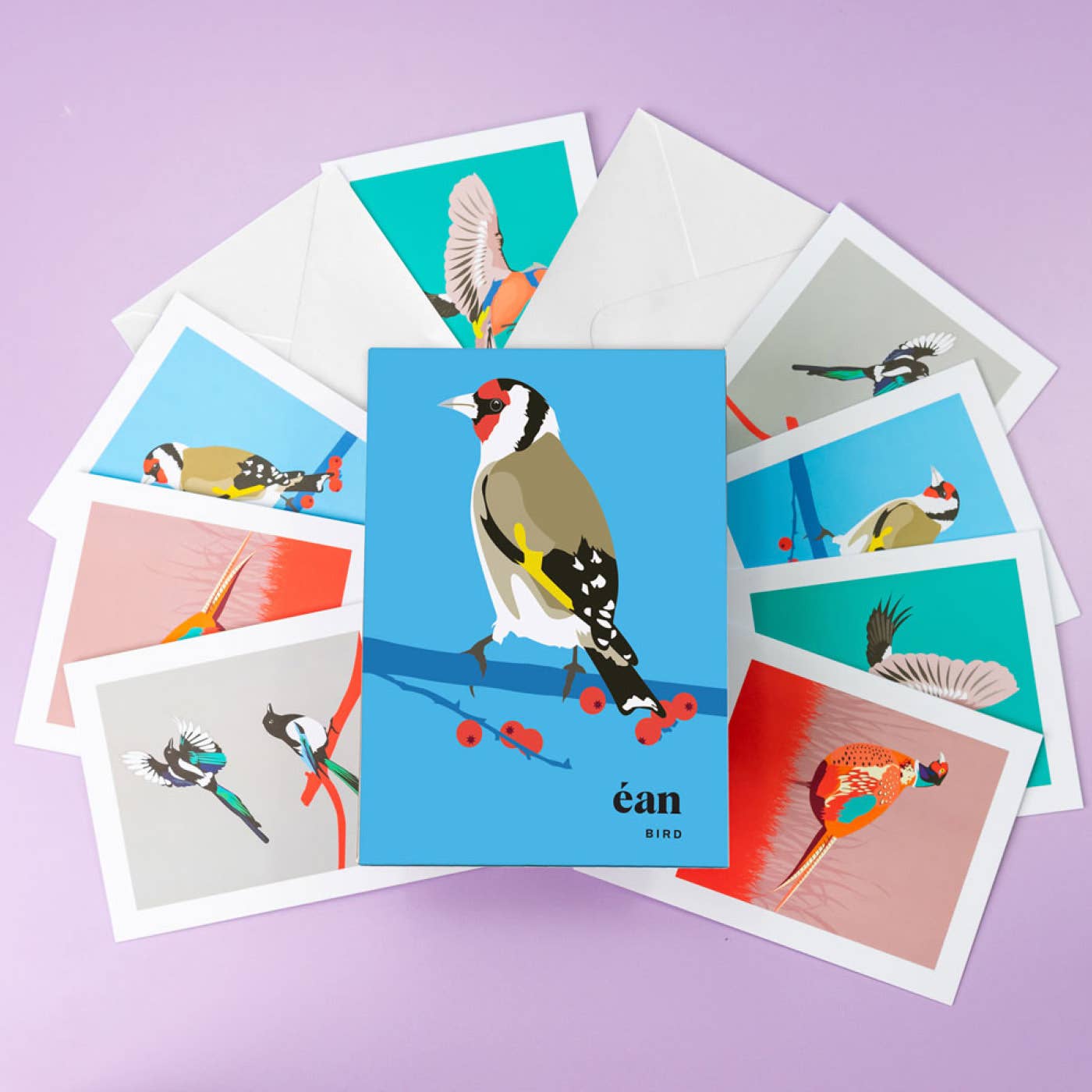 Bird Greeting Card Box