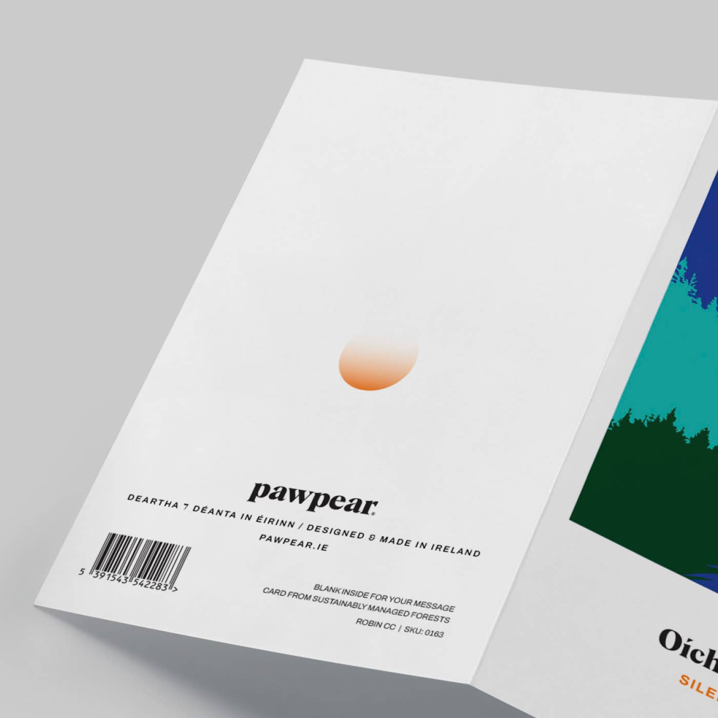 Robin Christmas Card - Pawpear