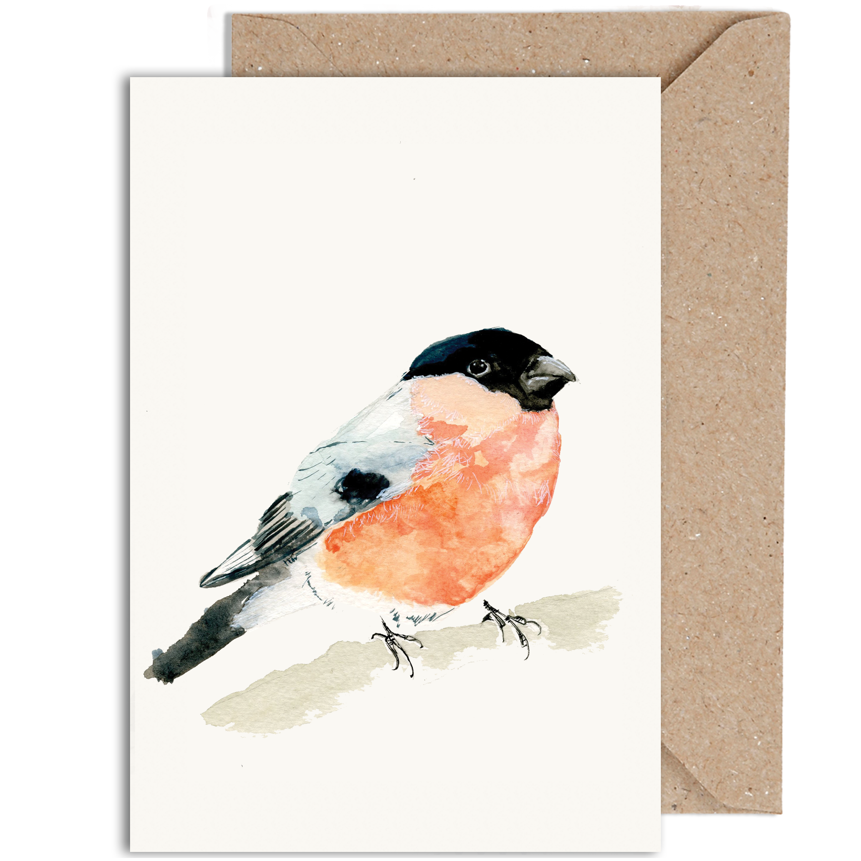 Bullfinch