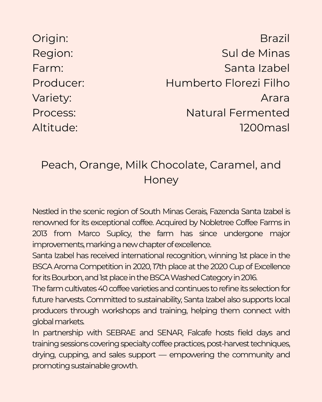 Santa Isabel | Brazil | Blind Monkey Coffee (250g Wholebean Coffee)