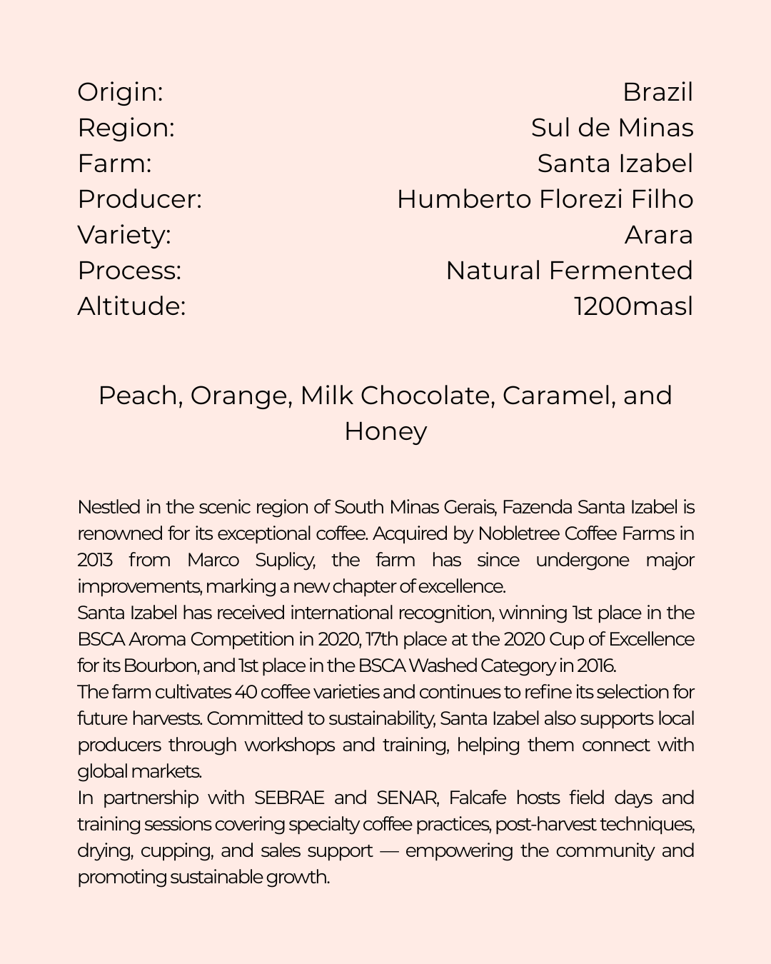 Santa Isabel | Brazil | Blind Monkey Coffee (250g Wholebean Coffee)