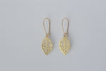 Delicate Brass Leaf Earrings | Birch