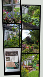 Múirin Beo Living Soil | Biologically Active Compost | Ireland