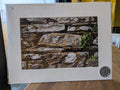 Photography Prints by Something In The Éire