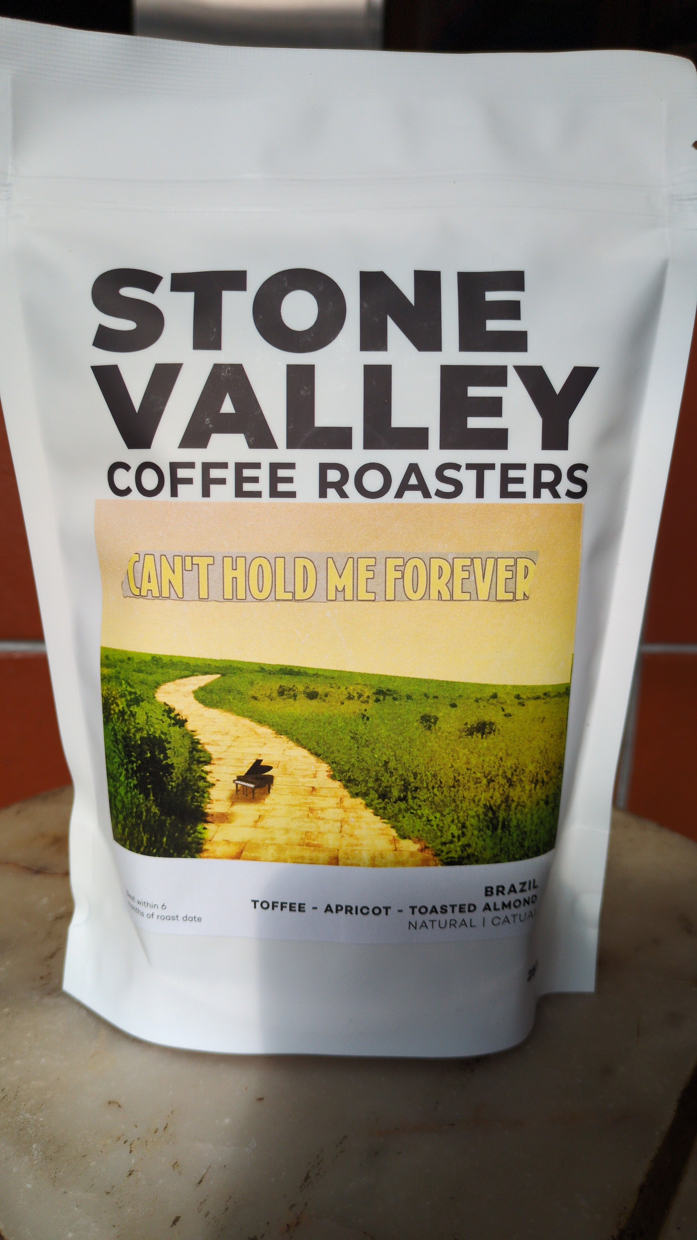 Can't Hold Me Forever| Brazil| Stone Valley