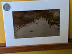 Photography Prints by Something In The Éire