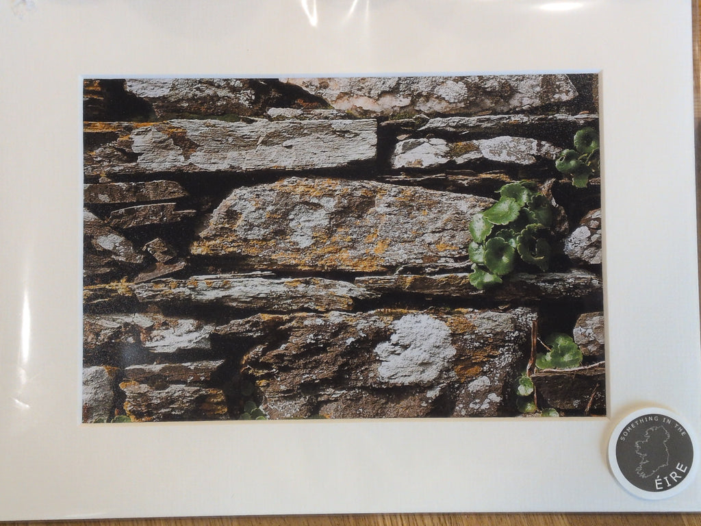 Ireland Scenery and Coastal View | Photography Prints by Something In The Éire