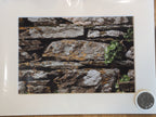 Ireland Scenery and Coastal View | Photography Prints by Something In The Éire
