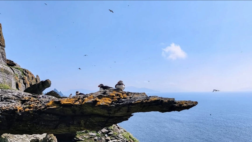 Ireland Scenery and Coastal View | Photography Prints by Something In The Éire
