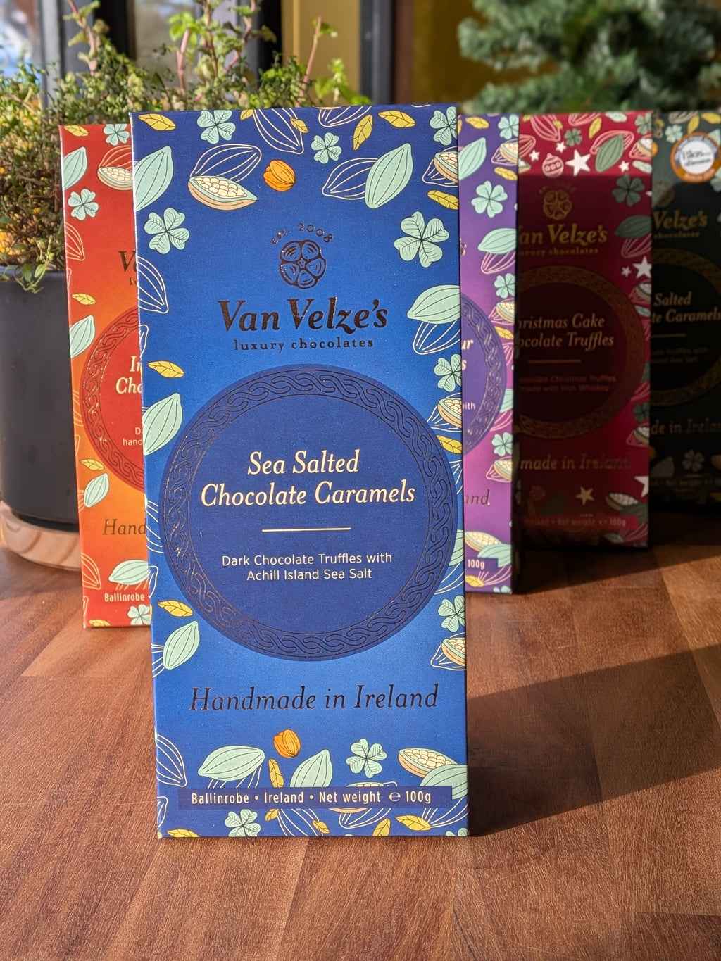 Salted Caramel Truffles - Van Velze's Chocolates