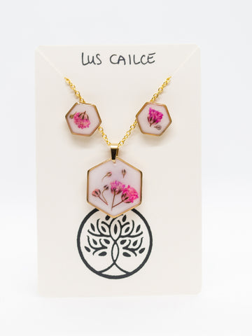 Lus Cailce