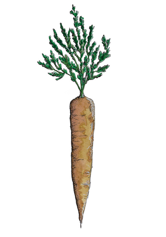 A5 Print - Carrot
